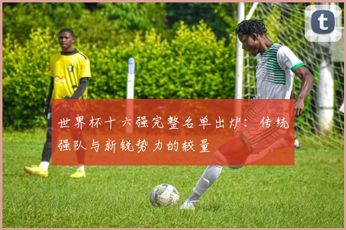 世界杯十六强完整名单出炉：传统强队与新锐势力的较量
