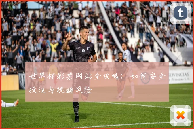 世界杯彩票网站全攻略：如何安全投注与规避风险
