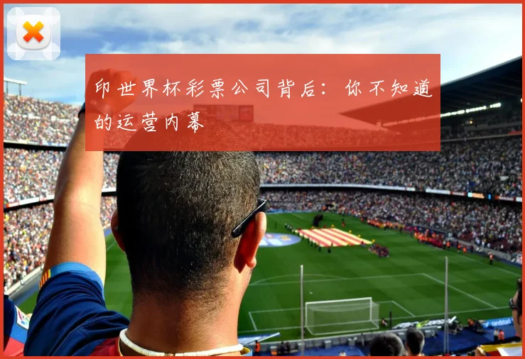印世界杯彩票公司背后：你不知道的运营内幕