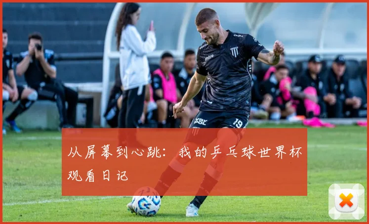 从屏幕到心跳：我的乒乓球世界杯观看日记