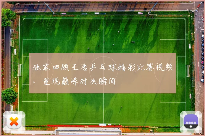 独家回顾王浩乒乓球精彩比赛视频,重现巅峰对决瞬间