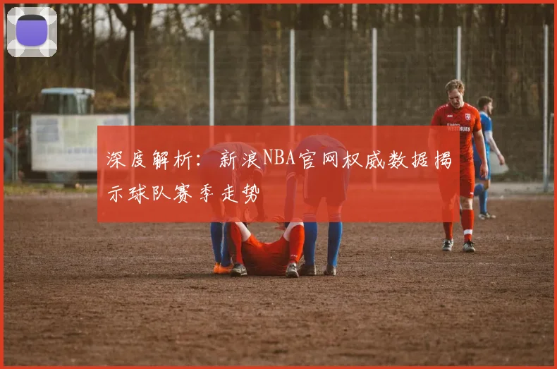 深度解析：新浪NBA官网权威数据揭示球队赛季走势
