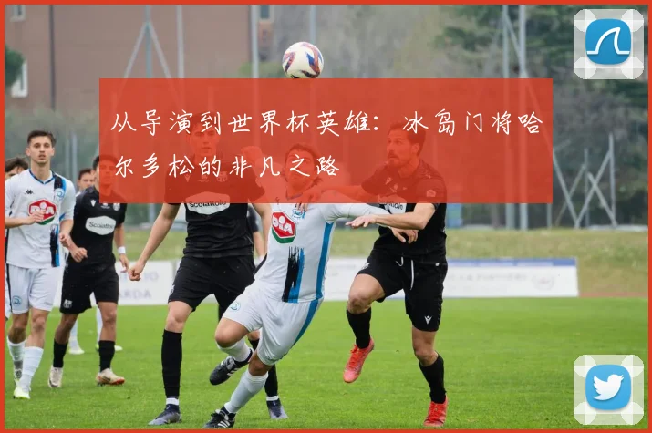 从导演到世界杯英雄：冰岛门将哈尔多松的非凡之路