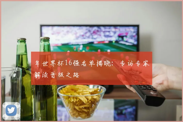 年世界杯16强名单揭晓：专访专家解读晋级之路