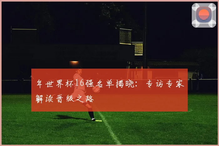 年世界杯16强名单揭晓:专访专家解读晋级之路