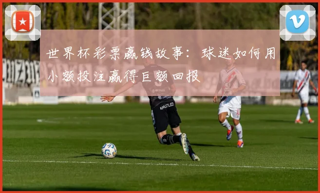 世界杯彩票赢钱故事:球迷如何用小额投注赢得巨额回报