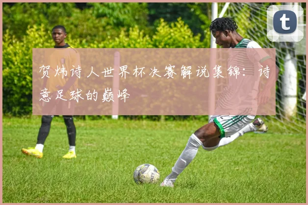 贺炜诗人世界杯决赛解说集锦：诗意足球的巅峰