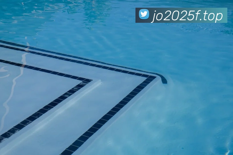 开云app官方入口网页版发展历程